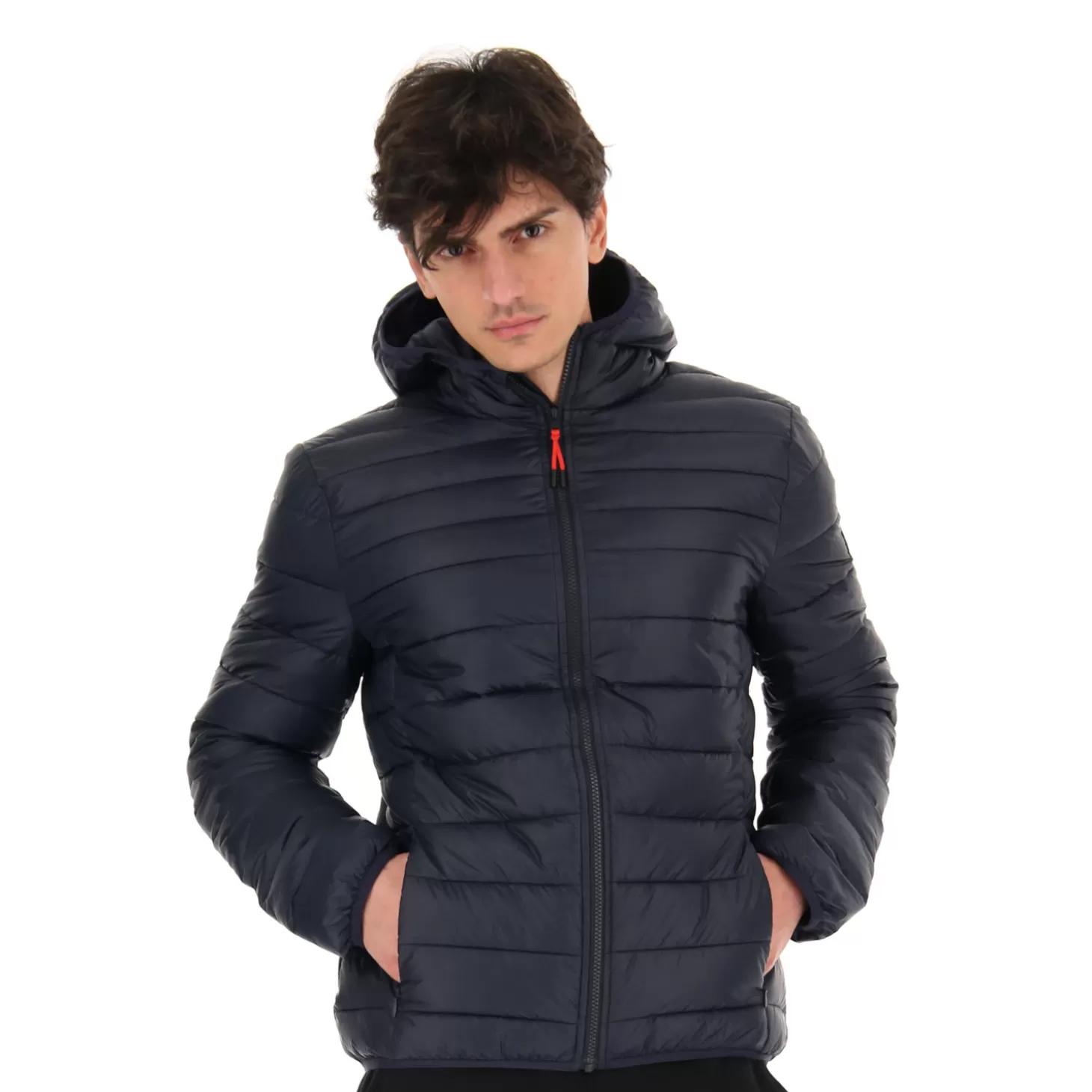 Lotto Bomber Cortina Iii Hd Pad Pl | Herren Jacken Und Anoraks