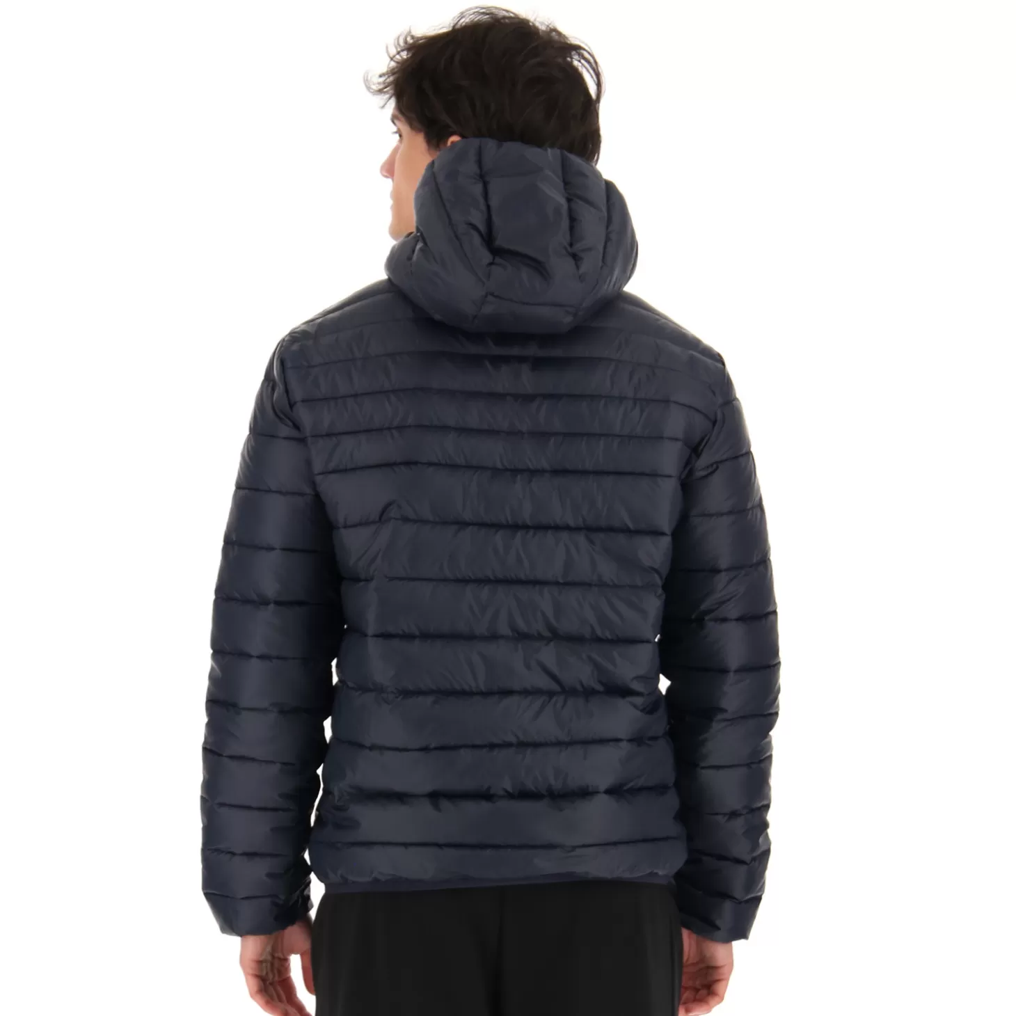 Lotto Bomber Cortina Iii Hd Pad Pl | Herren Jacken Und Anoraks
